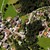 Luftaufnahme von Musterhofen