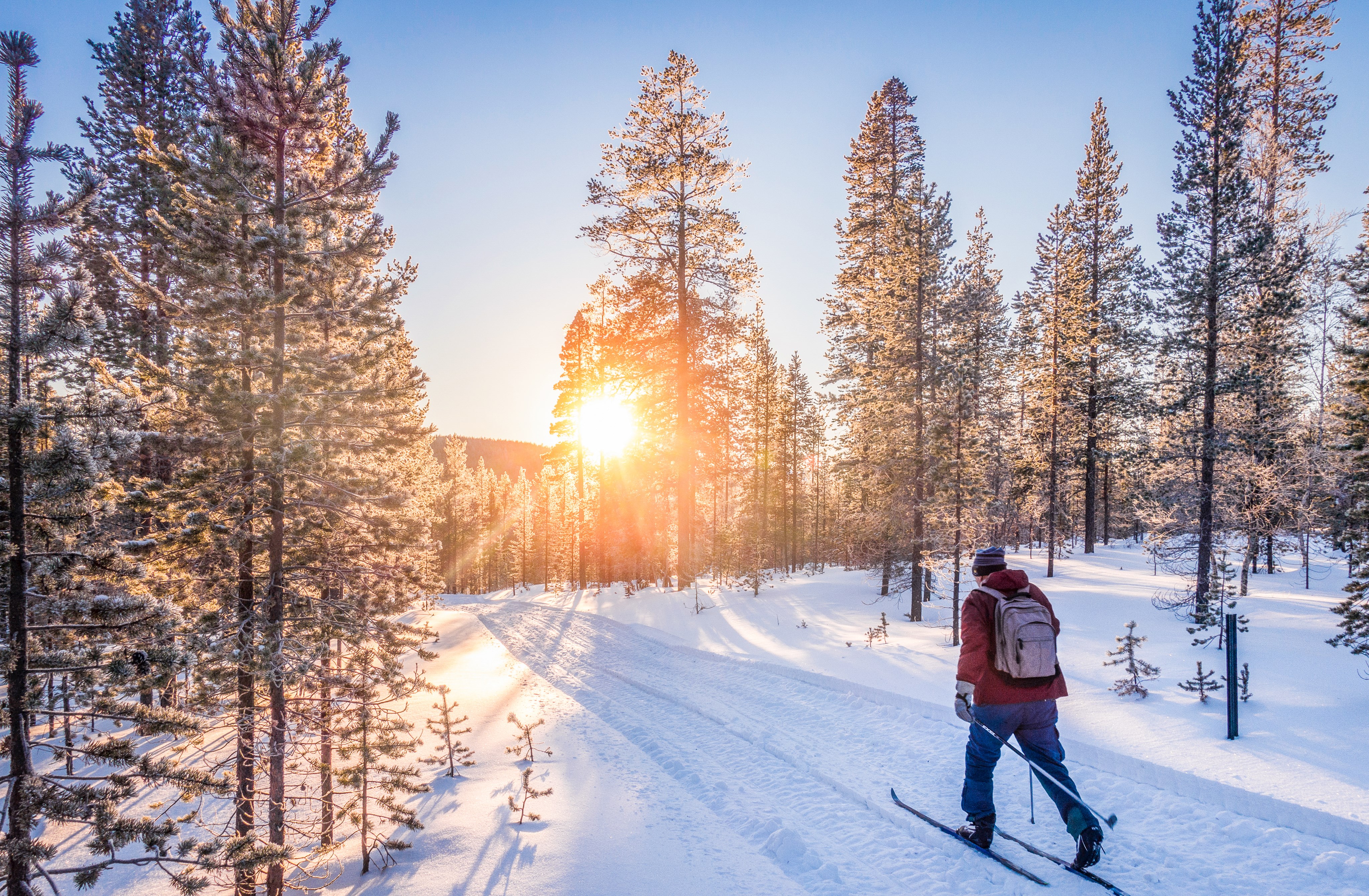 Skilangläufer im Schnee zwischen Bäumen