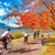 Drei Fahrradfahrer fahren im Herbst um einen See in Dulchingen.