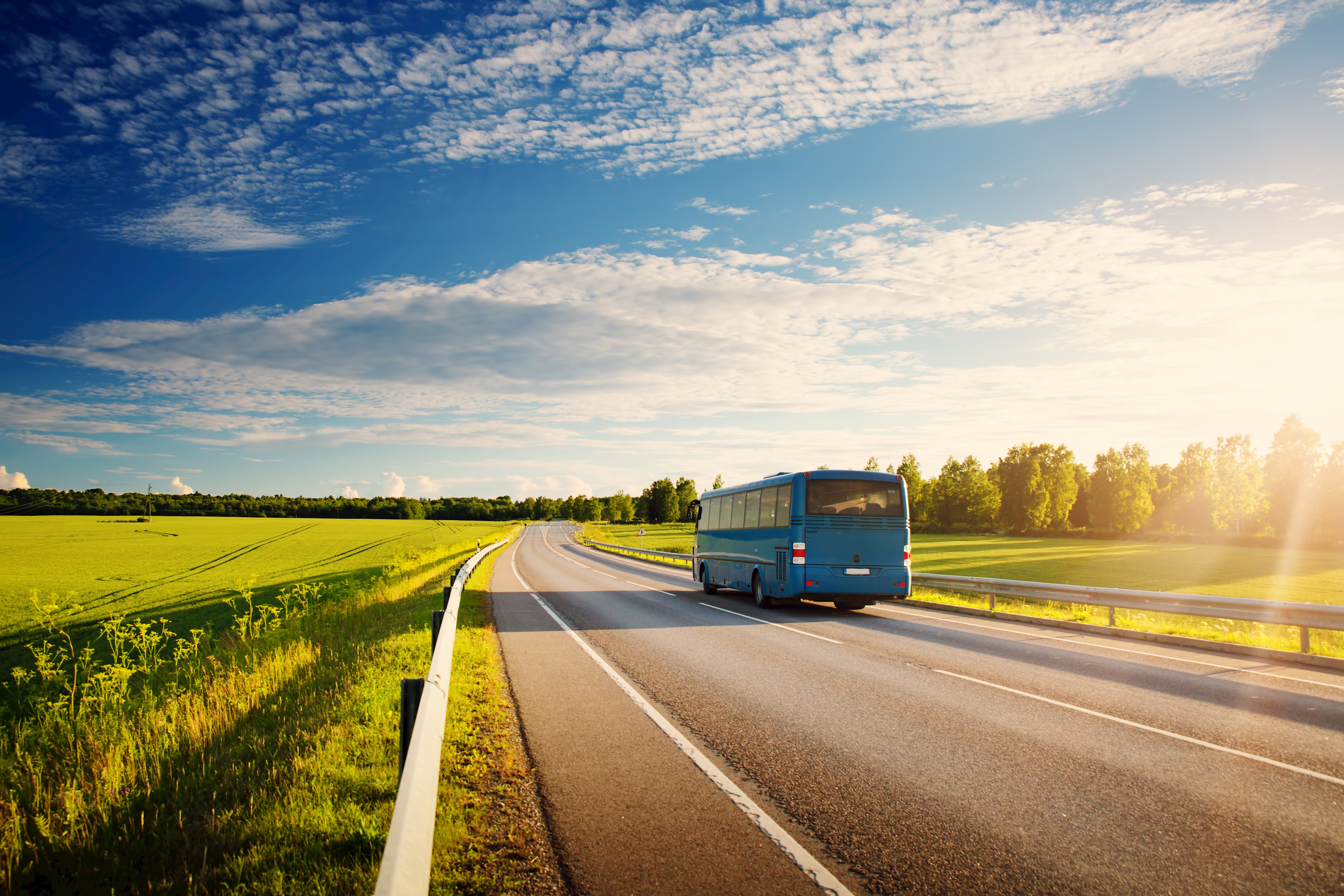 Bus auf Landstraße