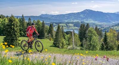 Informationen und Kontaktdaten zu Freizeit- und Tourismusthemen