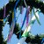 Maibaum mit Kranz Maibaum mit Kranz